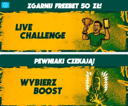 Licencjonowanie platformy BETFAN PL